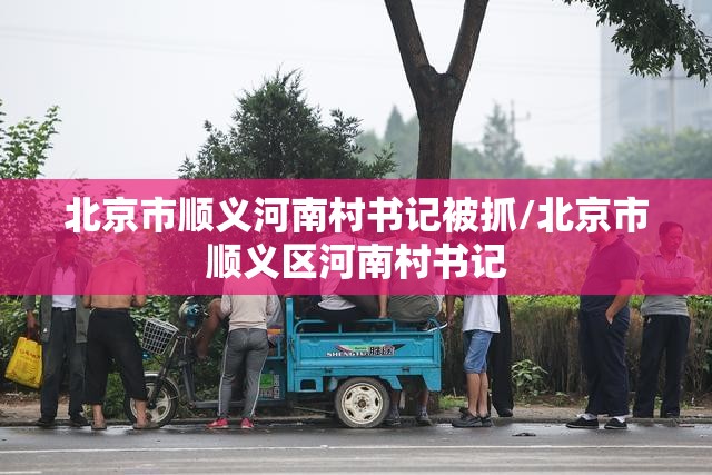 北京市顺义河南村书记被抓/北京市顺义区河南村书记