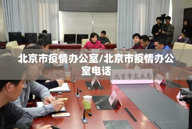 北京市疫情办公室/北京市疫情办公室电话