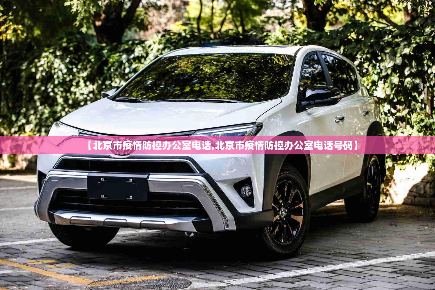 【北京市疫情防控办公室电话,北京市疫情防控办公室电话号码】