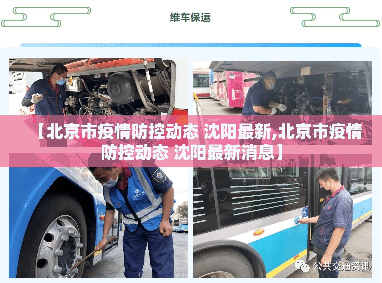【北京市疫情防控动态 沈阳最新,北京市疫情防控动态 沈阳最新消息】