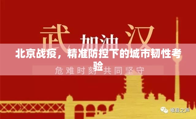 北京战疫，精准防控下的城市韧性考验