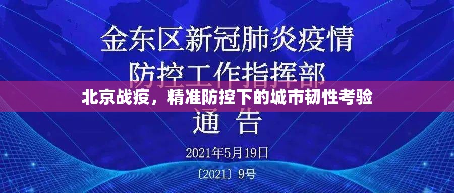 北京战疫，精准防控下的城市韧性考验