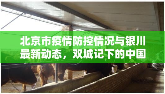 北京市疫情防控情况与银川最新动态，双城记下的中国抗疫策略