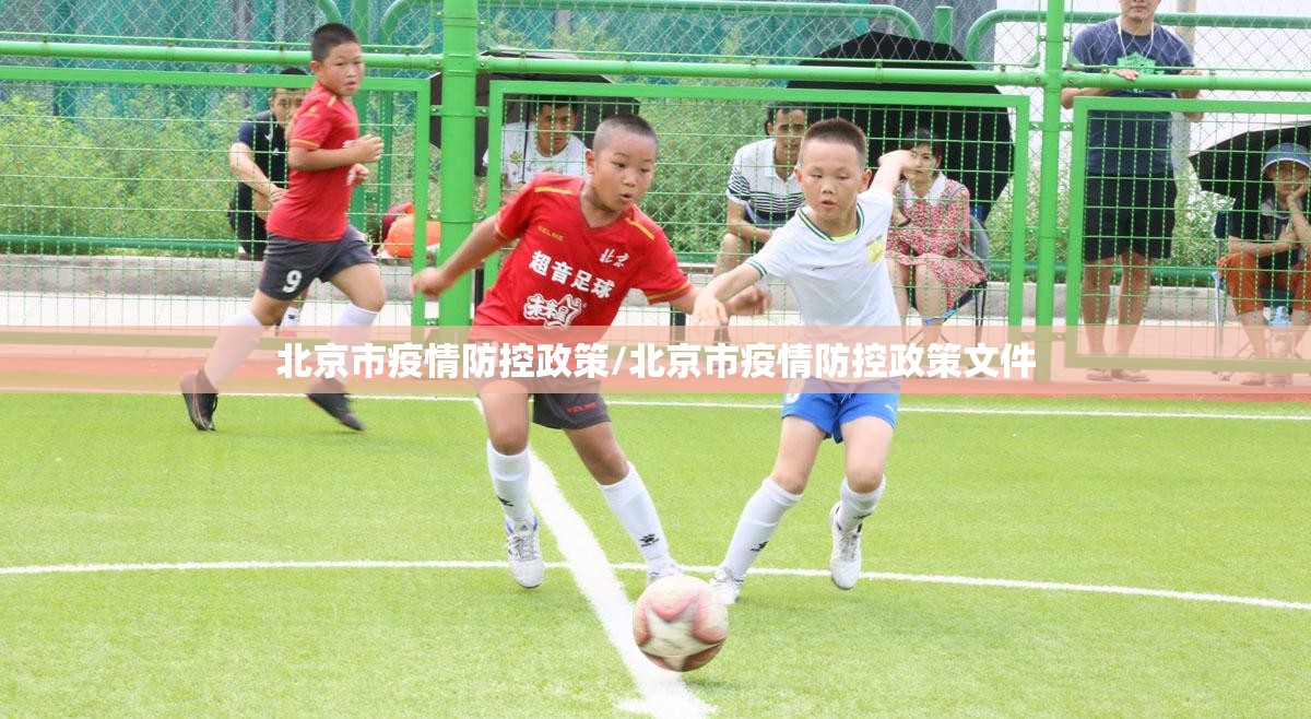 北京市疫情防控政策/北京市疫情防控政策文件