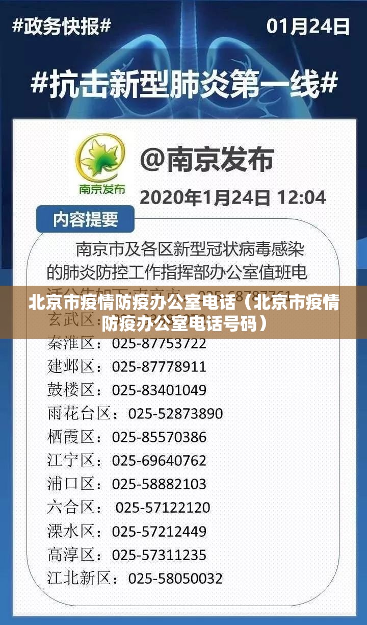 北京市疫情防疫办公室电话（北京市疫情防疫办公室电话号码）