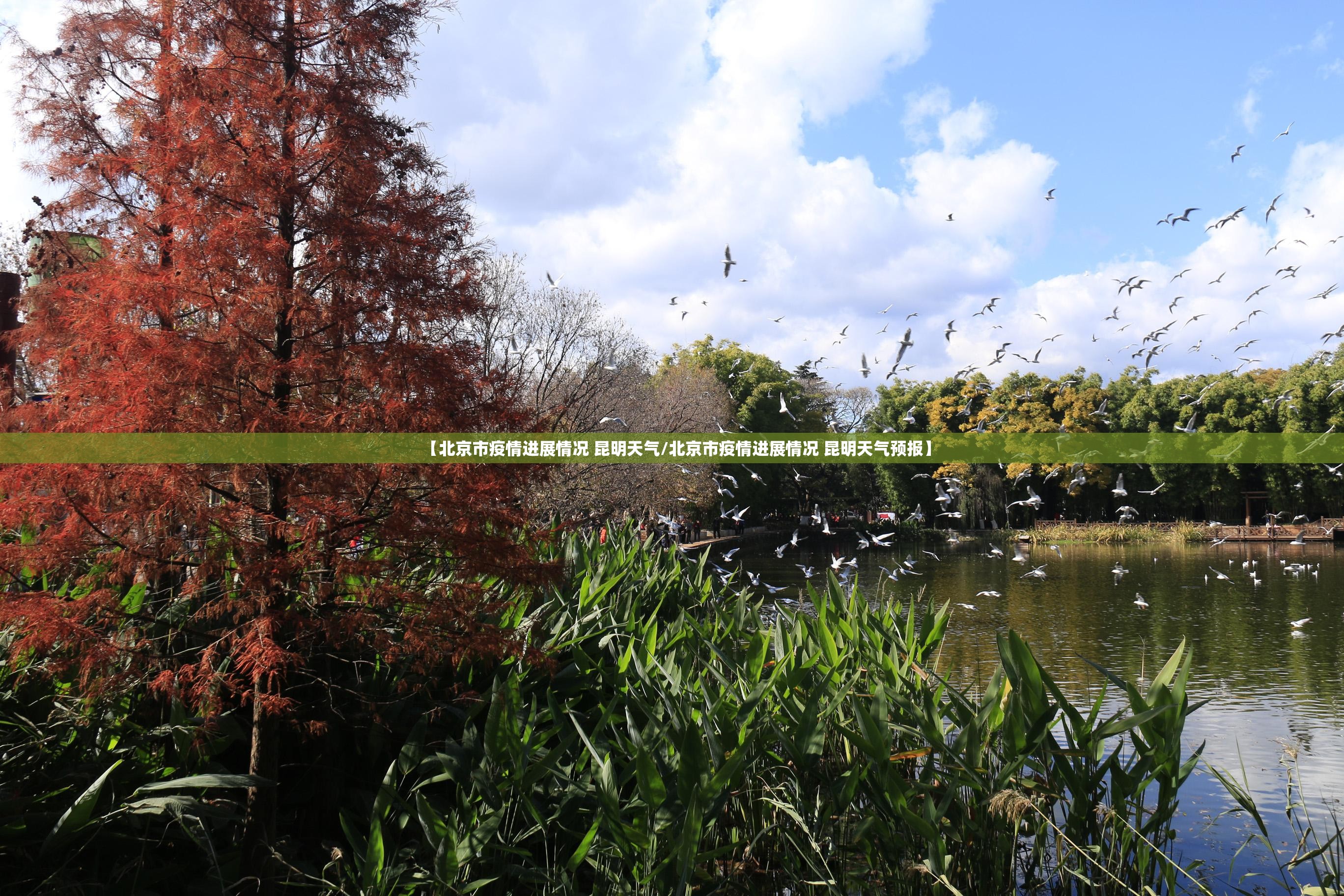 【北京市疫情进展情况 昆明天气/北京市疫情进展情况 昆明天气预报】