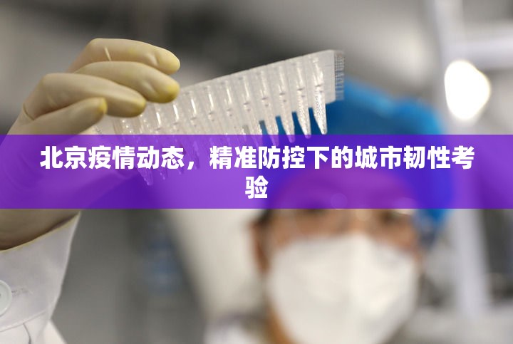 北京疫情动态，精准防控下的城市韧性考验