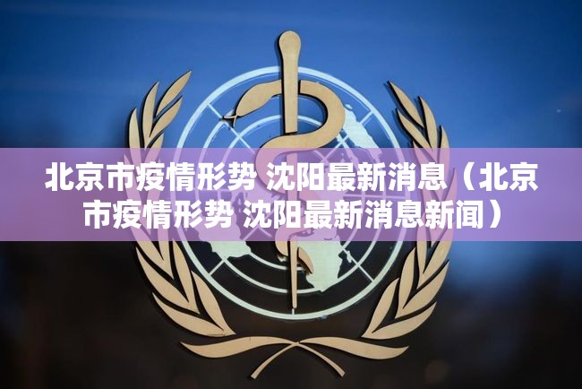 北京市疫情形势 沈阳最新消息（北京市疫情形势 沈阳最新消息新闻）