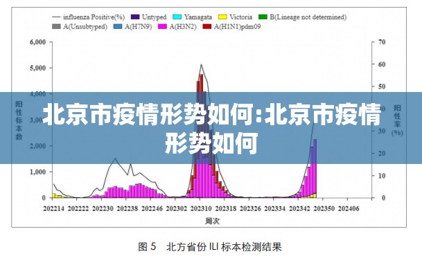 北京市疫情形势如何:北京市疫情形势如何