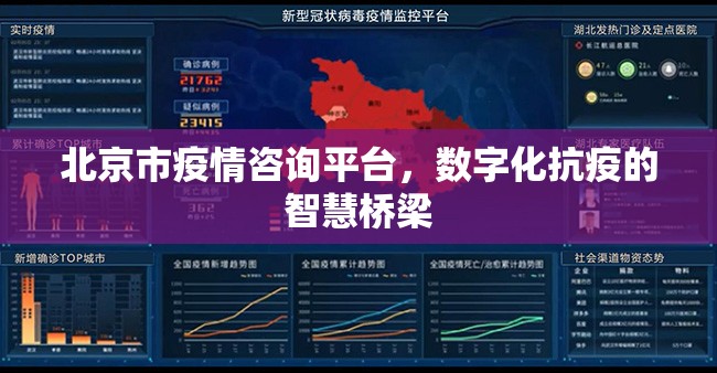 北京市疫情咨询平台，数字化抗疫的智慧桥梁