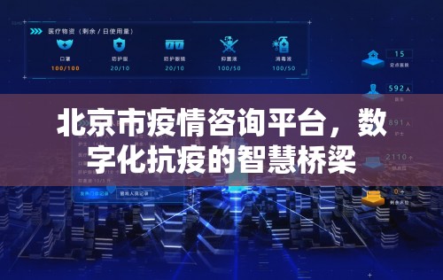 北京市疫情咨询平台，数字化抗疫的智慧桥梁