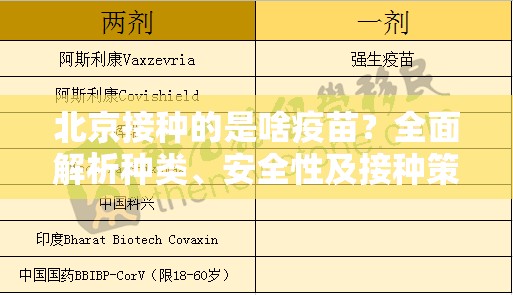 北京接种的是啥疫苗？全面解析种类、安全性及接种策略