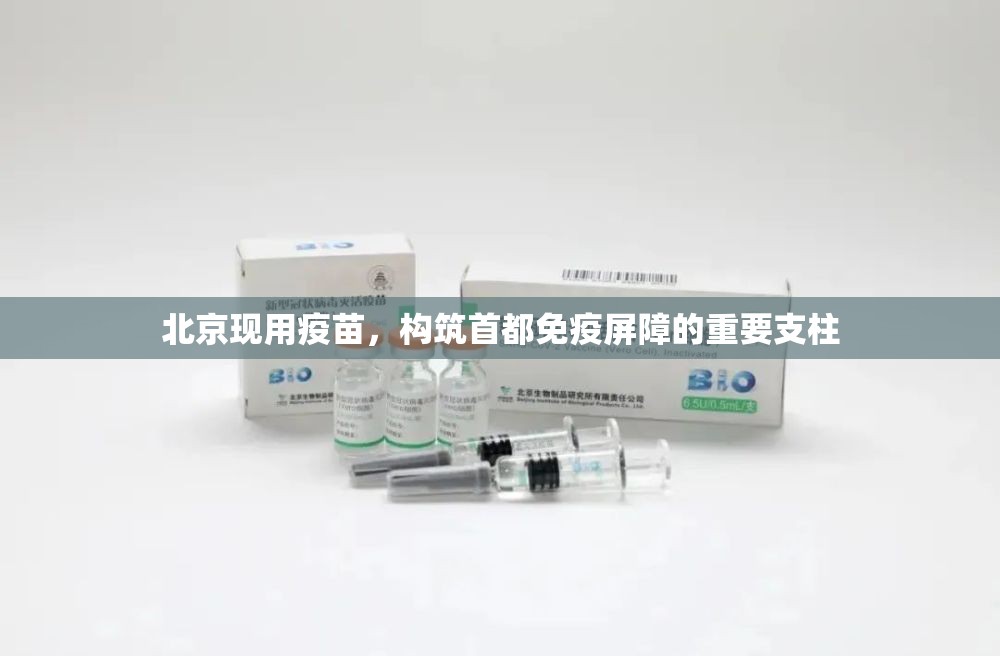 北京现用疫苗，构筑首都免疫屏障的重要支柱