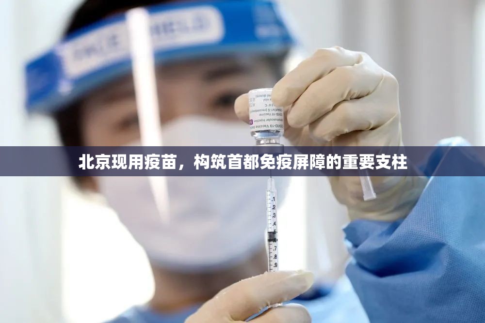 北京现用疫苗，构筑首都免疫屏障的重要支柱
