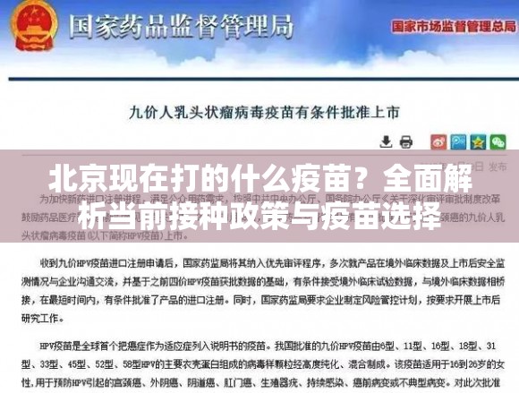 北京现在打的什么疫苗？全面解析当前接种政策与疫苗选择