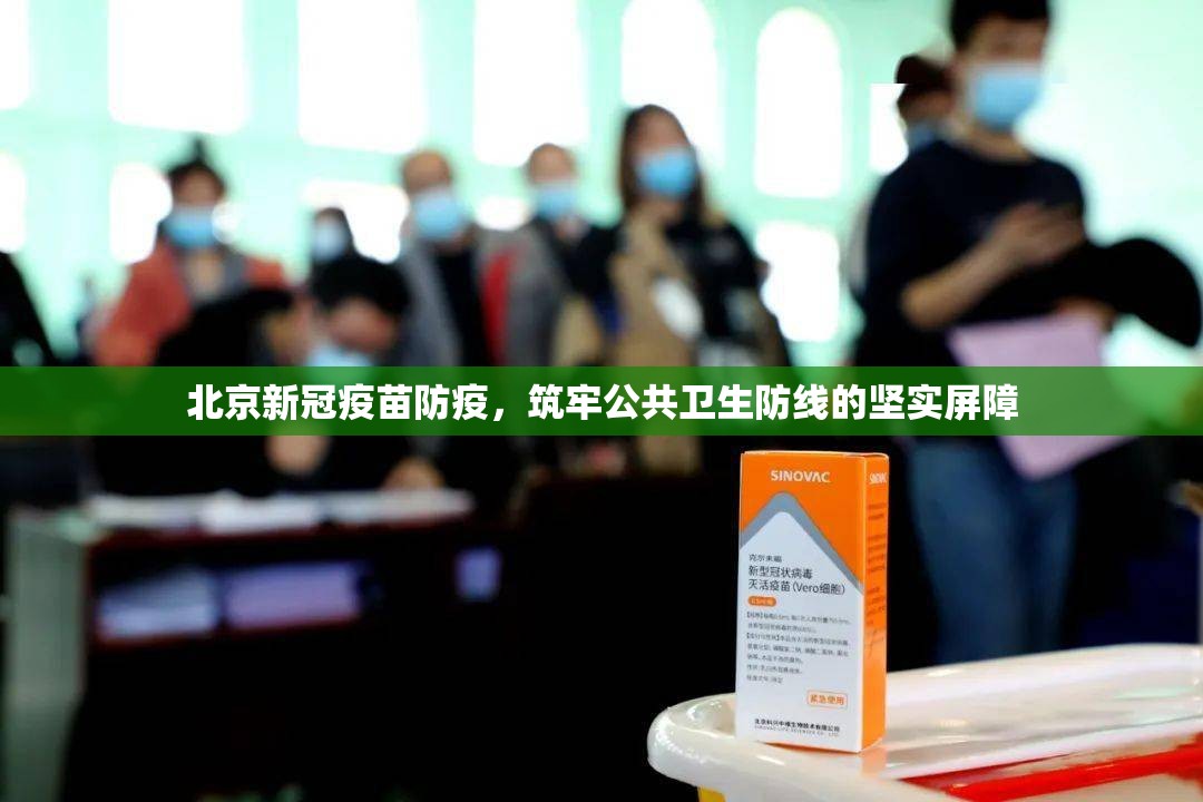 北京新冠疫苗防疫，筑牢公共卫生防线的坚实屏障