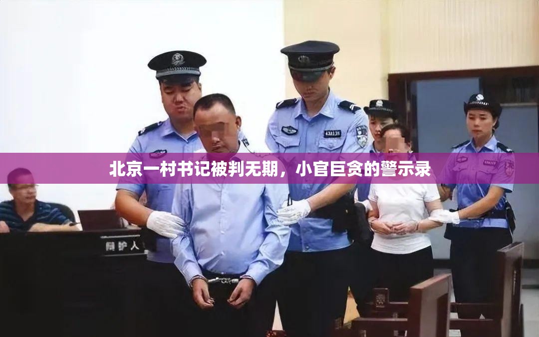 北京一村书记被判无期，小官巨贪的警示录