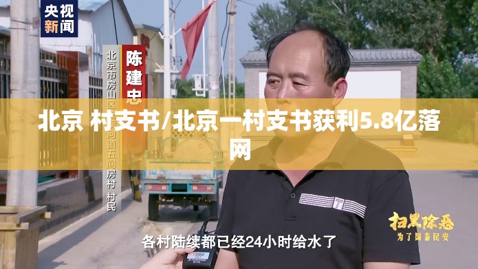 北京 村支书/北京一村支书获利5.8亿落网