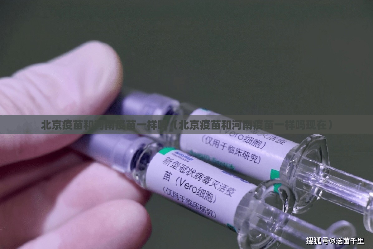 北京疫苗和河南疫苗一样吗（北京疫苗和河南疫苗一样吗现在）