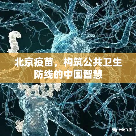 北京疫苗，构筑公共卫生防线的中国智慧