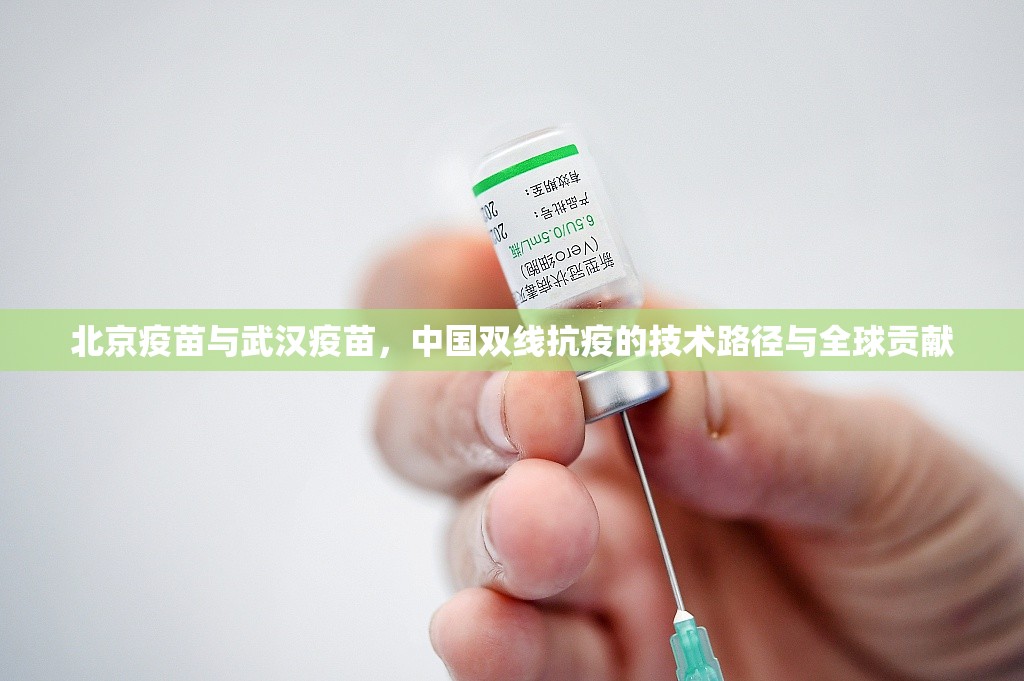 北京疫苗与武汉疫苗，中国双线抗疫的技术路径与全球贡献