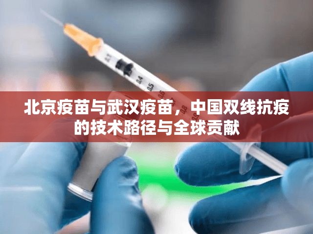 北京疫苗与武汉疫苗，中国双线抗疫的技术路径与全球贡献