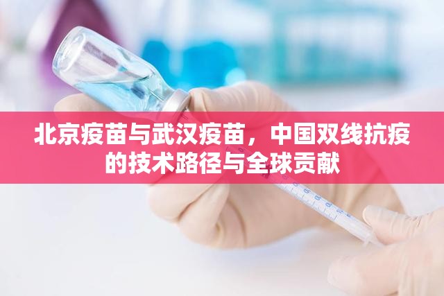 北京疫苗与武汉疫苗，中国双线抗疫的技术路径与全球贡献