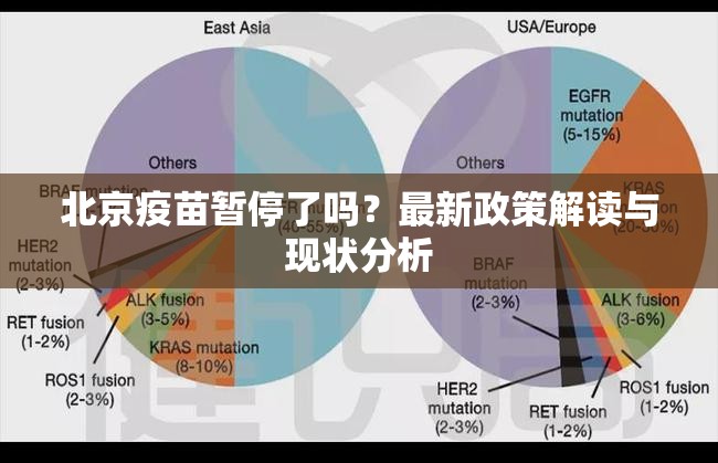 北京疫苗暂停了吗？最新政策解读与现状分析