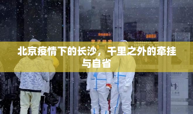 北京疫情下的长沙，千里之外的牵挂与自省