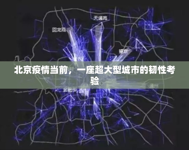 北京疫情当前，一座超大型城市的韧性考验