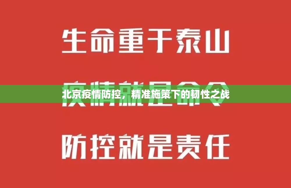 北京疫情防控，精准施策下的韧性之战
