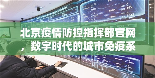 北京疫情防控指挥部官网，数字时代的城市免疫系统