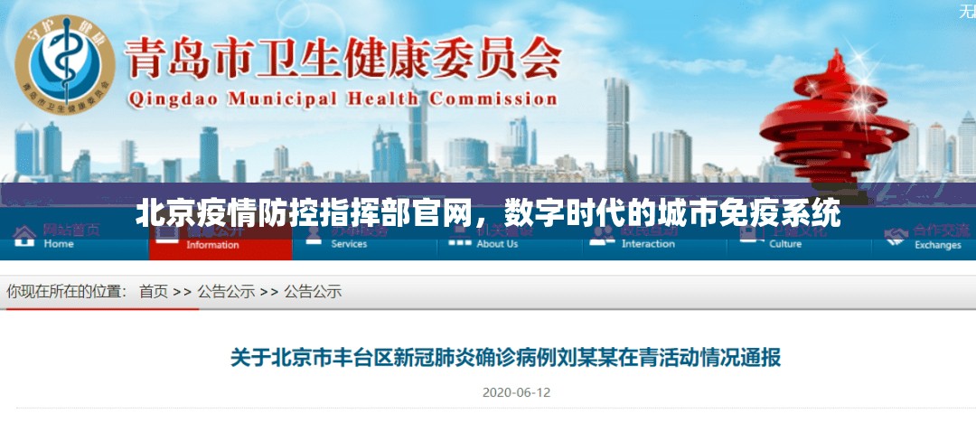 北京疫情防控指挥部官网，数字时代的城市免疫系统