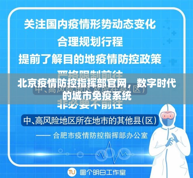 北京疫情防控指挥部官网，数字时代的城市免疫系统