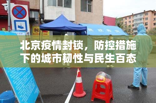 北京疫情封锁，防控措施下的城市韧性与民生百态
