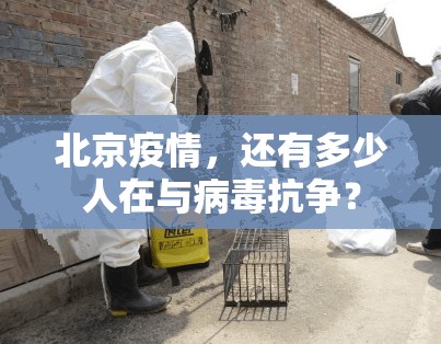 北京疫情，还有多少人在与病毒抗争？