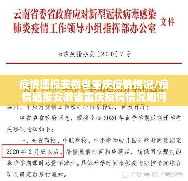 北京疫情实时动态查询指南，掌握最新信息，科学应对疫情