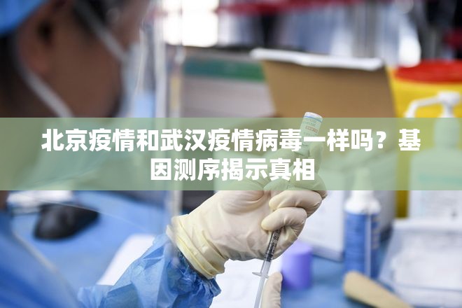 北京疫情和武汉疫情病毒一样吗？基因测序揭示真相