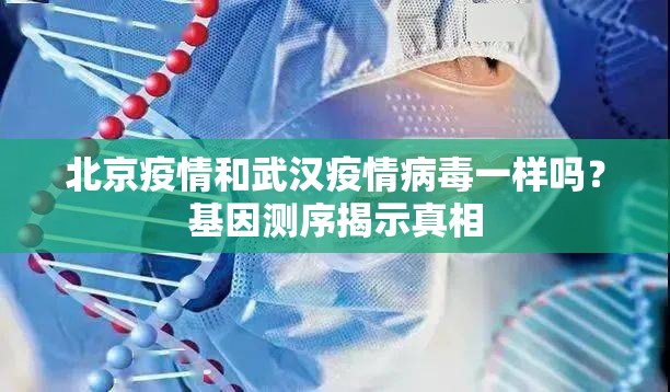 北京疫情和武汉疫情病毒一样吗？基因测序揭示真相