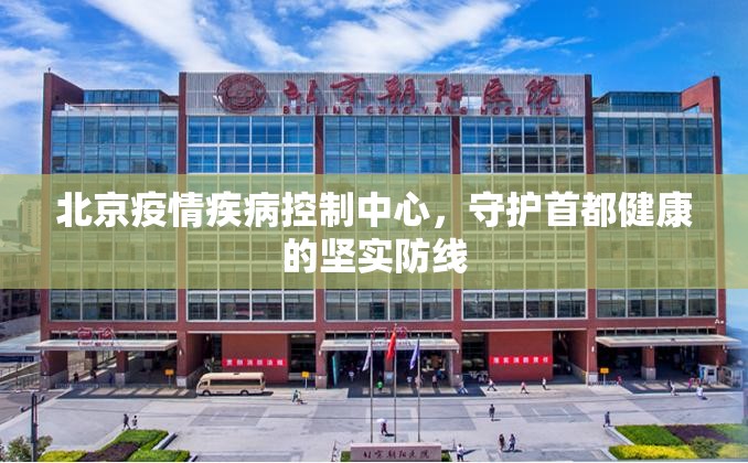 北京疫情疾病控制中心，守护首都健康的坚实防线