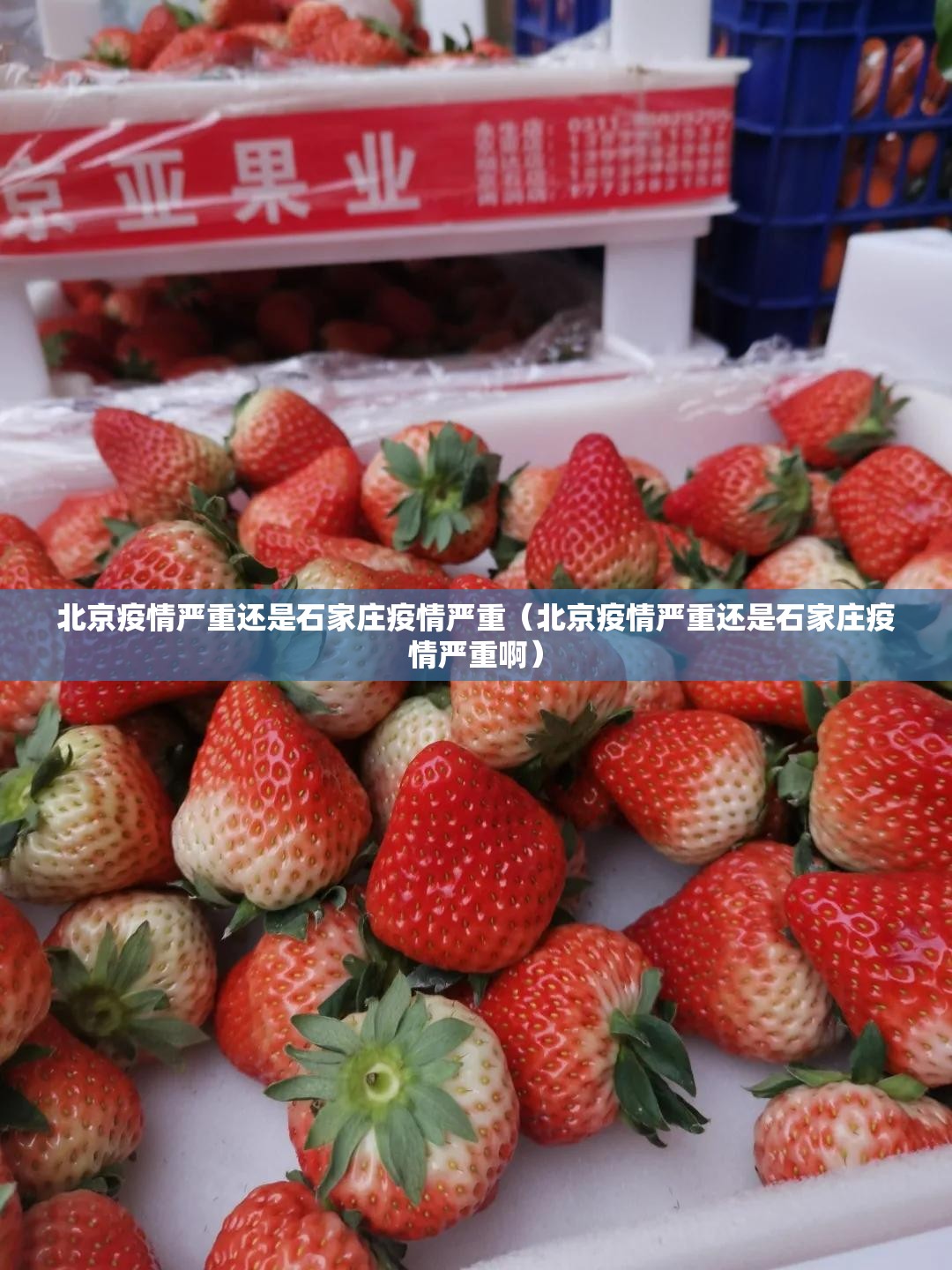 北京疫情严重还是石家庄疫情严重（北京疫情严重还是石家庄疫情严重啊）