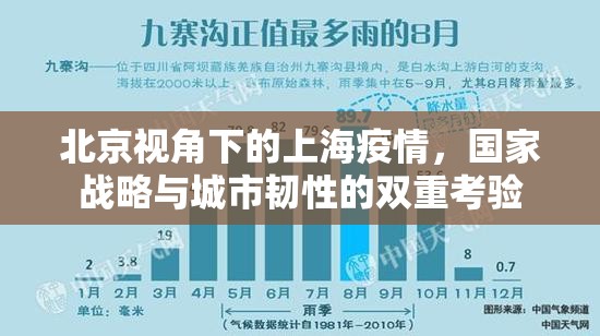 北京视角下的上海疫情，国家战略与城市韧性的双重考验