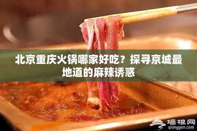 北京重庆火锅哪家好吃？探寻京城最地道的麻辣诱惑