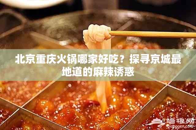 北京重庆火锅哪家好吃？探寻京城最地道的麻辣诱惑