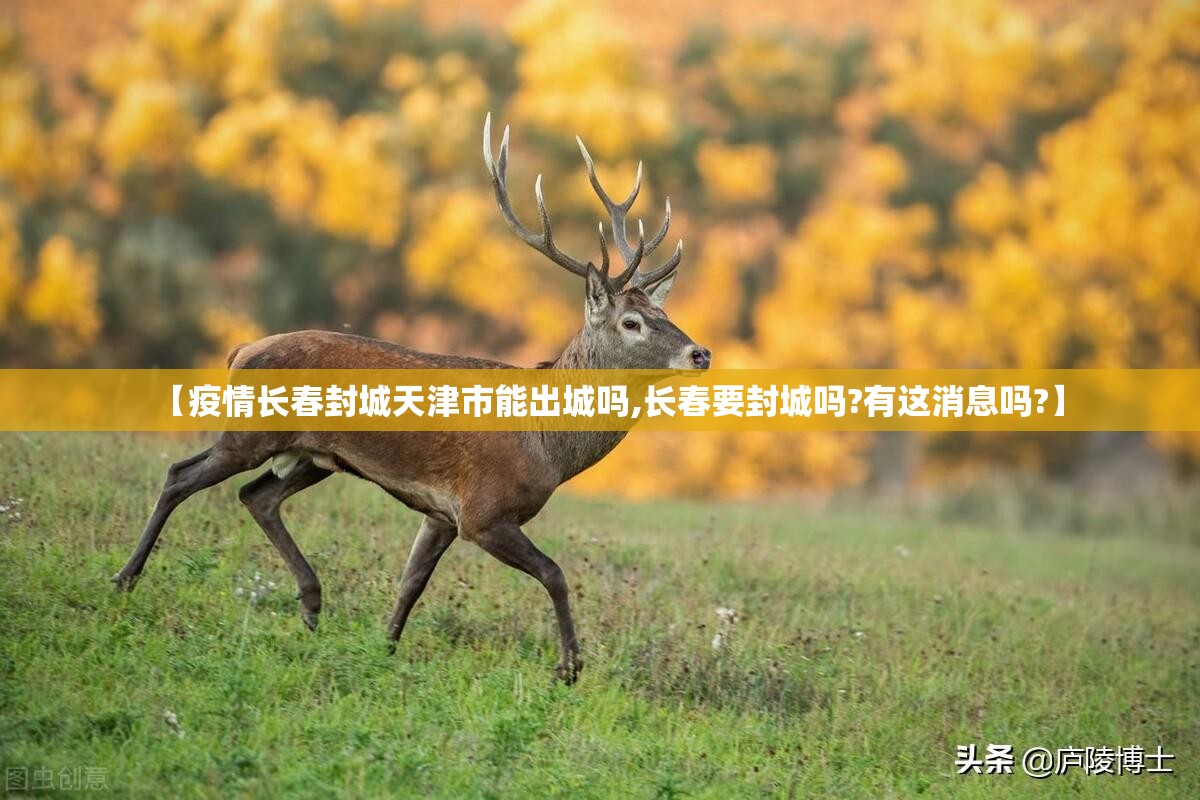 沈阳病例多少人确诊/沈阳病例多少人