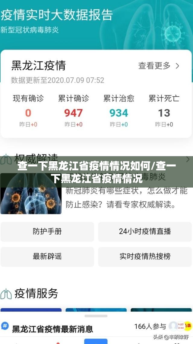 查一下黑龙江省疫情情况如何/查一下黑龙江省疫情情况
