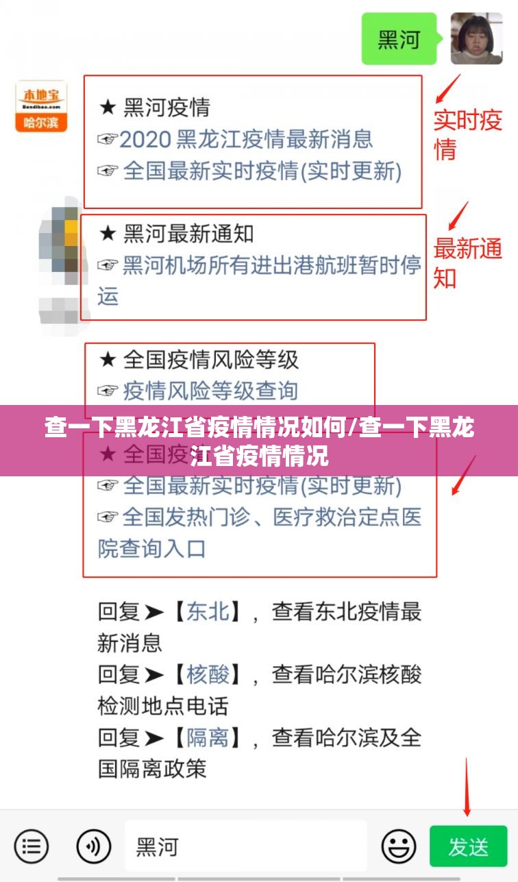 查一下黑龙江省疫情情况如何/查一下黑龙江省疫情情况