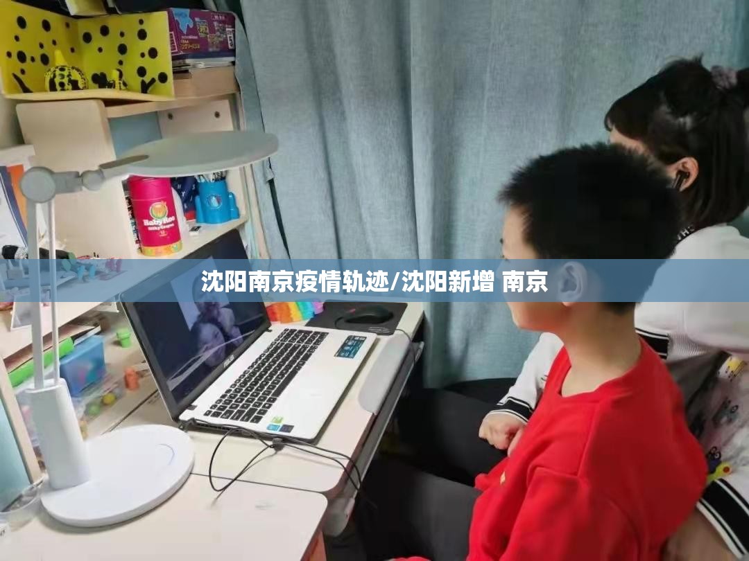 从武汉到上海，中国抗疫的严峻考验与坚韧前行