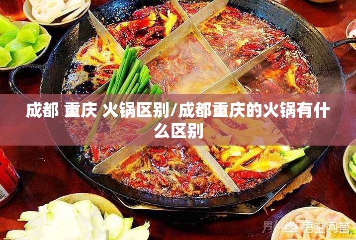 成都 重庆 火锅区别/成都重庆的火锅有什么区别