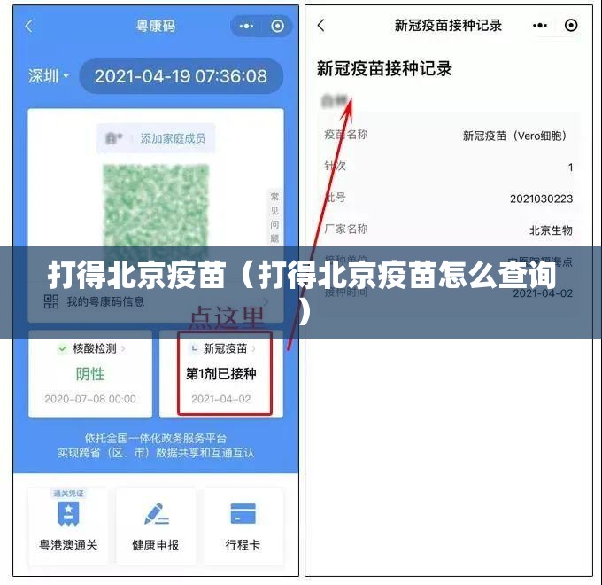 打得北京疫苗（打得北京疫苗怎么查询）